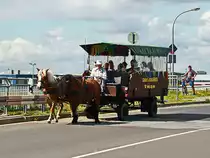 Auf der �berf�hrung der Bahn bei Sch�nefeld wurde dieses Gespann am 13. August 2017 beobachtet. 