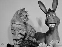 Ziemlich beste Freunde ;-)