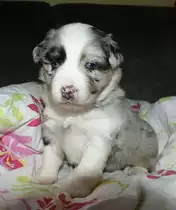 ich bin namid-die kleine schwester von sunna und dj...
fortsetzung folgt
