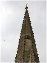 Norwich. Fr die Stadtbesichtigung am 06.05.2018 hatte ich leider mein Tele nicht eingesteckt. Dennoch mchte ich dieses Foto der Turmspitze der Cathedral zeigen, an dem der Nistplatz eines Turmfalken zu erkennen ist. Links im Bild ist klein der Vogel zu sehen. Einen Live-Blick in den Nistplatz gewhrt die Kamera des Hawk and Owl Trust:  
https://hawkandowltrust.org/web-cam-live/norwich-cathedral-side
