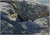 Vorsichtig schaut das Mauswiesel aus seinem Versteck.
(16.09.2019)