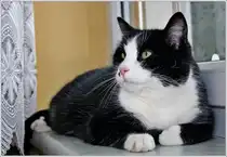 Was er wohl gerade denkt......