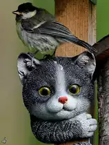 V�gel und Katzen sind eine eher ungesunde Kombination f�r den gefiederten Freund. Hier d�rfte es jedoch gut gehen. (Hattingen, Juli 2021)