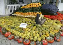 Feldkirch im Markgr�flerland, K�rbis-Kunst auf dem Bohrerhof,  Dunkleosteus , Sept.2021