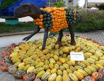 Feldkirch im Markgrflerland, Krbiskunst auf dem Bohrerhof,  Psittacosaurus , Sept.2021