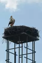 Am Rande vom s�dlichen Berlin befindet sich der Ort Wa�mannsdorf (geh�rt zu Sch�nefeld) mit seiner Dorfkirche Wa�mannsdorf. Hier steht auch neben dieser Dorfkirche an einem Teich ein Schornstein, wo auch in diesem Jahr der Storch eingetroffen ist. Gesehen am 19. April 2022.