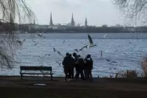 Hamburg am 2.2.2022: Möwenfüttern an der Hamburger Außenalster /