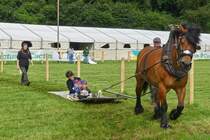 Von einem Ardenner Kaltblut gezogen, macht eine Fahrt ber die Grasflche Spa, gesehen bei der Landwirtschaftsmesse in Ettelbrck . 05.07.2024
