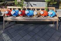 Diese kleine Schafherde lsst sich gut berwachen. 12.09.2024