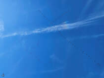 Und die nchste Formation Kraniche berfliegt unser Haus, so gesehen Ende Oktober 2024 in Hattingen.