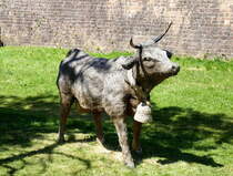 die Kuh steht im Festungsgraben der Stadt Neubreisach (Neuf-Brisach) im Elsa, Mai 2025