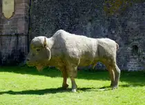 Ein Bison steht im Festungsgraben von Neubreisach (Neuf-Brisach) im Elsa�, Sept.2025