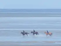 Reiter im Wattenmeer vor Cuxhaven-Duhnen am 15.09.25. Bei Ebbe existiert ein Weg durch das Watt zur Insel Neuwerk, der von Reitern und Pferdewagen benutzt wird.