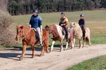 Gem�tlicher Ausritt auf Isl�nder Ponys, an einem herrlichen Tag, im Norden von Luxemburg. 03.2026