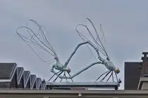 Ein Libellenrad auf einem Hausdach in Maastricht. 03.2026