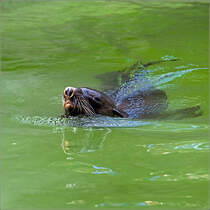 Kein Frosch, ich wei. Aber im Moment wei ich echt wo hin mit diesem Foto.