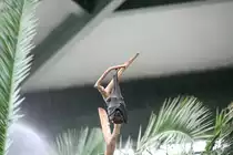 Schlafender Indischer Riesenflugfuchs (Pteropus giganteus) am 13.12.2009 im Alfred-Brehm-Haus des Berliner Tierparks. 
