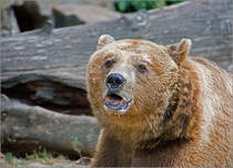 Was macht der denn da? Ah ... Ich bin wieder Model.