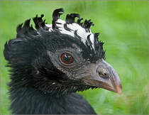 Man mge mir entschuldigen, ich wei echt nicht, was genau ich abgelichtet habe.