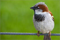 Soll der doch pfeifen wie er will .... ich schau nicht hin.