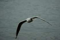 Bin in Eile!
(25.02.2010)