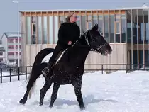  Testritt  anl�sslich des Pferdemarktes in Ried i.I.;100217