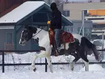 Ein Ritt im Schnee;100217