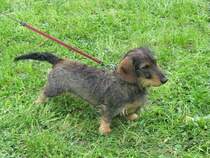 Dort mchte ich unbedingt hin .... !!!