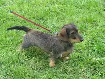 Dort m�chte ich unbedingt hin .... !!!