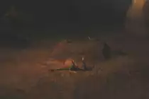 Springhase (Pedetes capensis) und ein Senegalgalago (Galago senegalensis) am 11.3.2010 im Zoo Berlin.