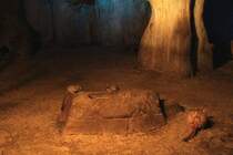 Ein Springhase (Pedetes capensis) und zwei Senegalgalagos (Galago senegalensis) am 11.3.2010 im Zoo Berlin.