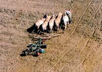 Das waren noch Zeiten! 5 PS beim  ackern , ohne lverbrauch und Umweltverschmutzung. Sogar den  natrlichen Ausstoss  konnte man noch zur Dngung verwenden. Aufgenommen 1985 aus luftiger Hhe.  