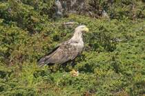 So sieht ein erfolgreicher J�ger aus!