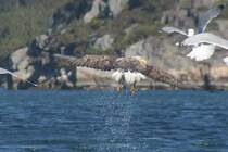 Doch daneben! Der erste Versuch geht leer aus.