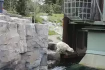 Kopfsprung an einer alten Krananlage.