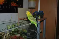 Bild von Pucki am 16.08.10.