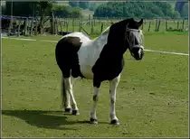 Siehst du mich? 12.08.2010 (Hans)