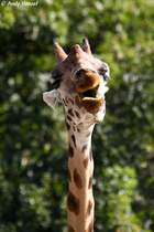 Immer sch�n l�cheln f�r die Kamera.