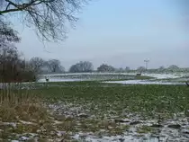 Rehe fotografiert an der Straße von Bernsdorf nach Wilkenhagen (NWM) 13.02.2009
