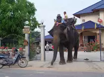 Ein asiatischer (thail�ndischer) Elefant mit seinem Mahout bei mir zu Hause in Thailand
