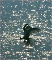 Im Rampenlicht...
(24.01.2011)