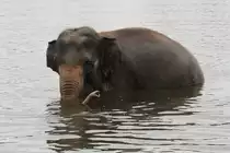 Warten, dass man wieder aus dem Wasser darf. African Lion Safari in Cambridge,Ont am 2.10.2010.