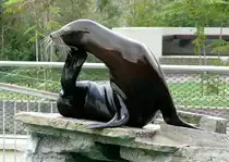 Seel�we am 28.06.2009 in Wilhelma/Stuttgart