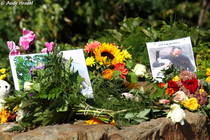 Zum 1. Todestag von Thomas Drflein (ehem. Pfleger von Knut) haben viele Knut-Fans ein Meer von Blumen am Gehege aufgestellt.